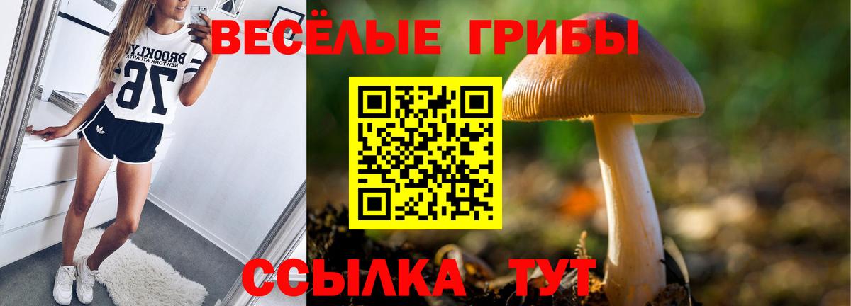 Галлюциногенные грибы GOLDEN TEACHER Зеленогорск